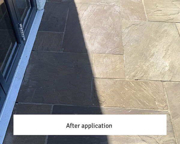 LTP Solvex Stripper - Image 5