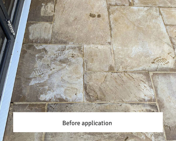 LTP Solvex Stripper - Image 3